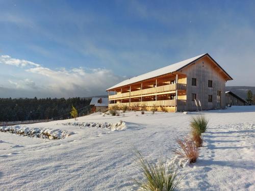 a barn with a herd of sheep in the snow at Pircherhof - Adults Only am Biobauernhof in Pöllau