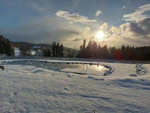 a snow covered field with the sun in the background at Pircherhof - Adults Only am Biobauernhof in Pöllau