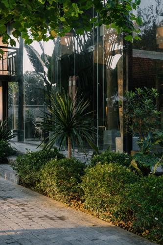 a plant in front of a glass building at TOKI Retreat Vân Long in Ninh Binh