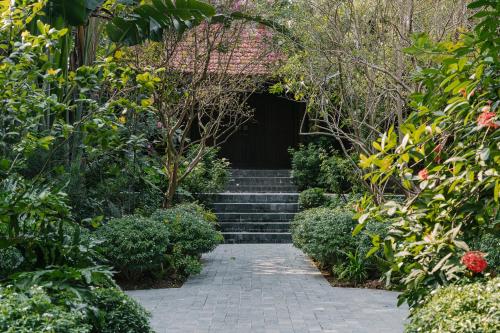 a set of stairs in a garden with plants at TOKI Retreat Vân Long in Ninh Binh
