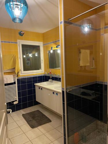 y baño con ducha y lavamanos. en Villa entre bordeaux et saint emilion en Cursan