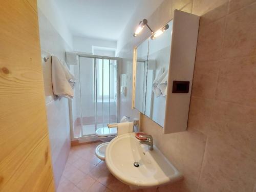 Residenza Arnica في مولفينو: حمام مع حوض ومرآة ومرحاض