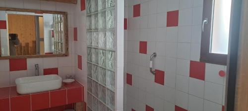 La salle de bains est pourvue de carrelage rouge et blanc, d'un lavabo et d'un miroir. dans l'établissement Gîte du Faraud, à Saint-Étienne-en-Dévoluy