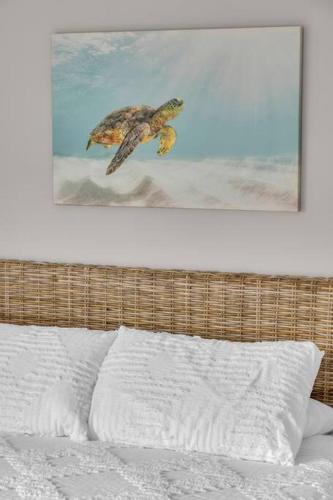 a picture of a turtle jumping over a bed at JackEllie Lodge - Pets welcome in Eden
