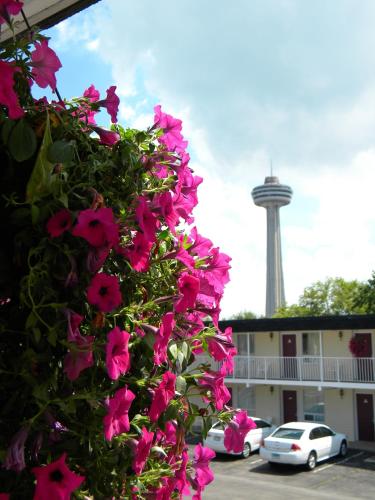 Fairway Inn by the Falls – Photos 3