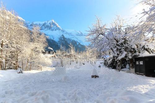 une cour enneigée avec une montagne en arrière-plan dans l'établissement Violette de Cham - Jardin privé - Vue Mont Blanc, à Chamonix-Mont-Blanc