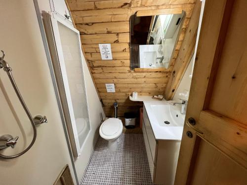 La salle de bains est pourvue de toilettes, d'un lavabo et d'un miroir. dans l'établissement ~Chalet_Rifugio tra i boschi~, à Sella Nevea
