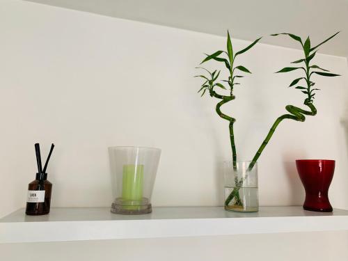 a shelf with vases and a plant on it at A Casa Di Carolina in Cassino