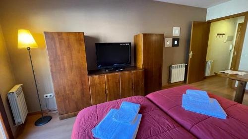 Televisyen dan/atau pusat hiburan di Apartamentos Los Lagos