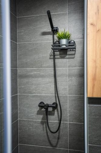 a bathroom with a shower with a plant in it at Marrilux apartments Residence Hill in Kopaonik