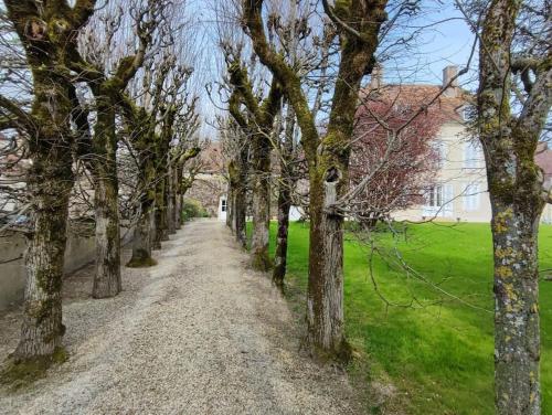 Gallery image of Clos Saint-Priscus - Demeure de Charme en Bourgogne in Saint-Bris-le-Vineux