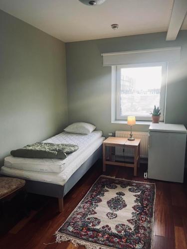 1 dormitorio con cama, ventana y alfombra en Cilla och Smillas AB, en Malmö