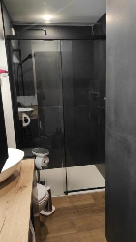 a bathroom with a shower with a toilet and a sink at Le Week-End 3 étoiles, plein centre ville in La Clusaz