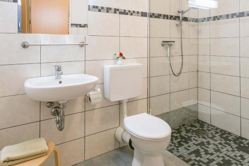 uma casa de banho com um WC, um lavatório e um chuveiro em Ferienwohnung zur Steinburg em Bad Schandau