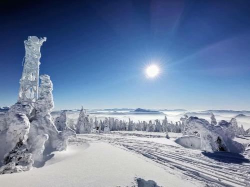 a snow covered mountain with the sun in the sky at DOMKI JANOSIK - Janosik 2 Komfort in Łopuszna