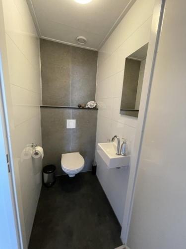 a small bathroom with a toilet and a sink at Chalet Sunrise Vierte Reihe Haus Nr 218 in Enkhuizen