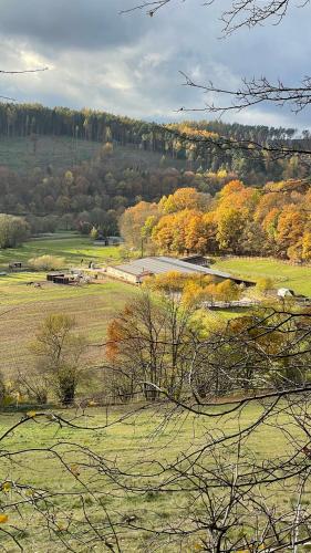 a view of a field with trees in the background at Ferienapartments Reitanlage Schenksolz in Schenklengsfeld