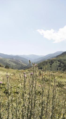 Φυσικό τοπίο κοντά σε αυτό το διαμέρισμα