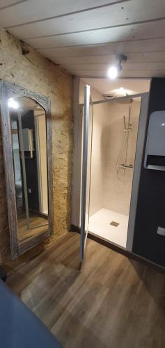 bagno con specchio e doccia in camera di La Rose a Brossac
