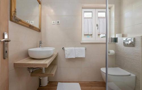 a bathroom with a sink and a toilet and a mirror at Villa Bellevue in Sveti Lovreč Pazenatički