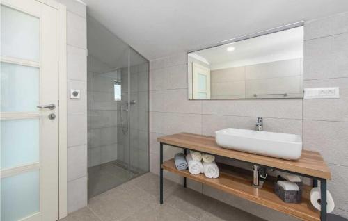 ein Bad mit einem Waschbecken, einem Spiegel und einer Dusche in der Unterkunft Villa Hizina Veleniki in Poreč