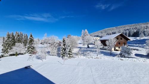 a house in a snow covered field with trees at MV Vacances in Les Rousses