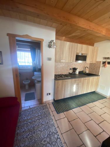 cocina con lavabo y aseo en una habitación en Appartamento al Tabià Pizal, en Santo Stefano di Cadore