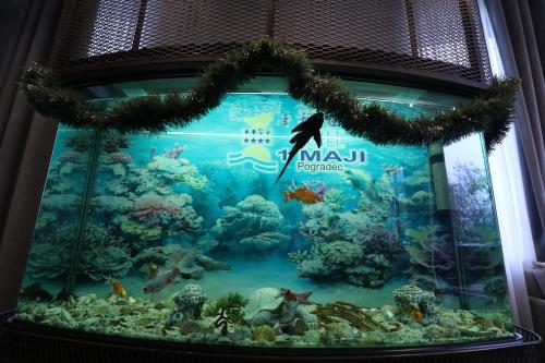 Animales en el hotel o alrededores