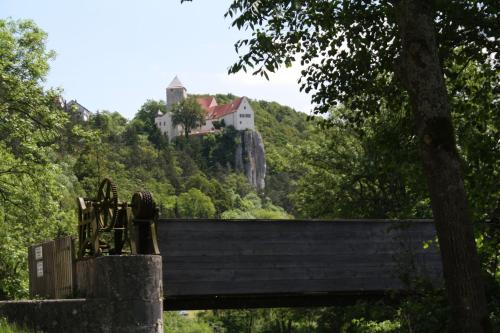 a house on top of a hill with a castle at Hotel-Gasthof zur Krone in Riedenburg