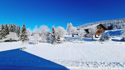 a snow covered yard with a house and trees at MV Vacances in Les Rousses
