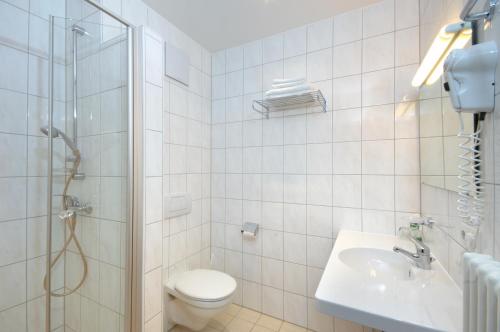 a bathroom with a toilet and a shower and a sink at Hotel-Gasthof zur Krone in Riedenburg