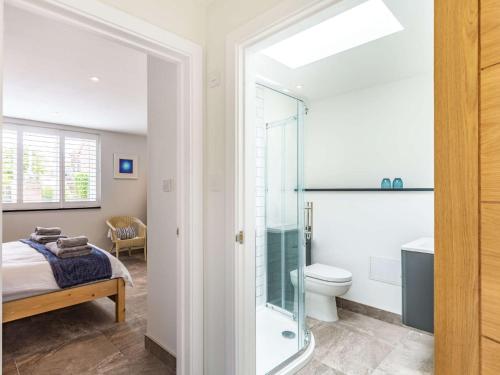 1 cama y baño con ducha y aseo. en 1 Bed in Paignton 87811 en Paignton