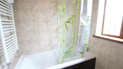 a bathroom with a bath tub with a plant in the shower at The Annexe At 53 in Bishopston