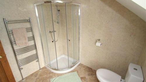 a bathroom with a shower and a toilet at Llanelen Farm Sleeps 2 in Llanrhidian