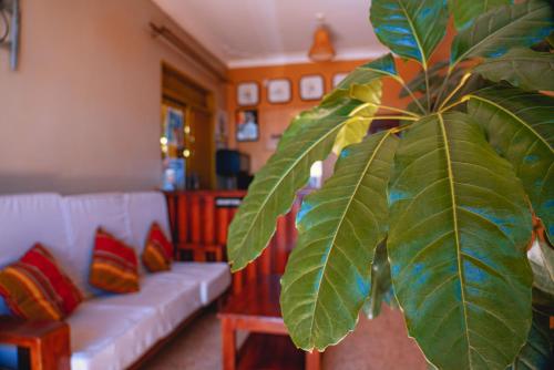 un soggiorno con divano bianco e pianta di GOLDEN QUEST HOTEL a Entebbe