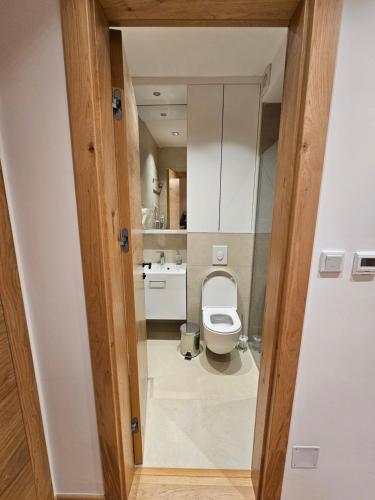 a bathroom with a toilet and a sink at Zlatni Javor, Apartment 408 in Jahorina