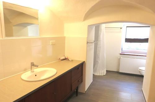 uma casa de banho com um lavatório e um espelho em Ferienwohnung Aumühle em Freilassing