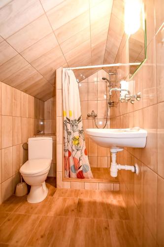 a bathroom with a toilet and a sink at Cudzichówka in Biały Dunajec