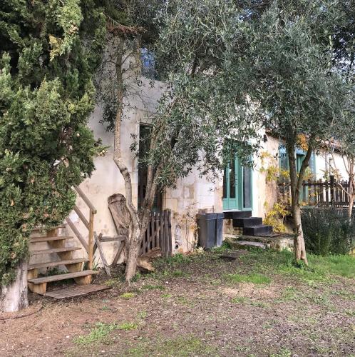 Un jardín fuera de Ancien moulin à eau sur la Seugne