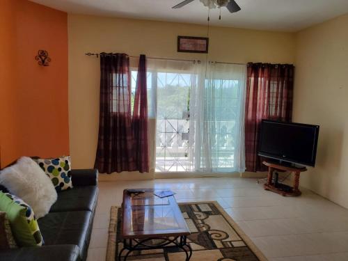 ein Wohnzimmer mit einem Sofa und einem TV in der Unterkunft Spring Valley Estate Ocean View Apartments in Saint Mary