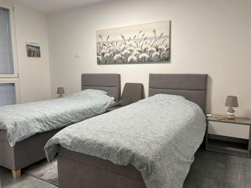 um quarto com duas camas e um quadro na parede em LabPark Relax Apartment em Melano