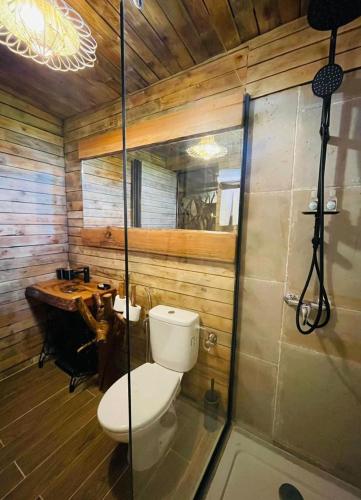 a bathroom with a toilet and a shower and a sink at Chalet au Calme à la Ferme in Fez