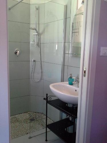 a bathroom with a sink and a shower at B&B Ciccilia in Bentivoglio