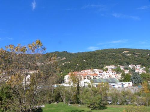 eine Stadt auf einem Hügel mit einer Stadt in der Unterkunft les agrumes in Amélie-les-Bains-Palalda