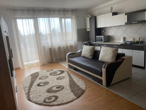 a living room with a couch and a kitchen at 2BR Cosy Apart in Satu Mare