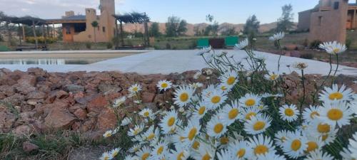 Pequeña Polonia-Lodge & Cabañas – Photos 2