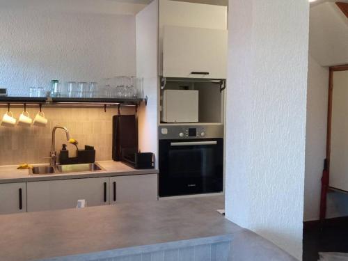 La cuisine est équipée d'un évier et d'un réfrigérateur noir. dans l'établissement Beau duplex 3 pièces au pied des pistes avec TV, DVD, balcon, et parking à Saint-Jean-d'Aulps - FR-1-573-72, à Saint-Jean-dʼAulps