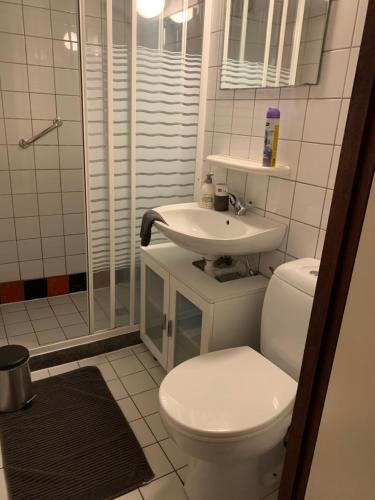 La salle de bains est pourvue de toilettes, d'un lavabo et d'une douche. dans l'établissement Ferias E55, à Lanaken