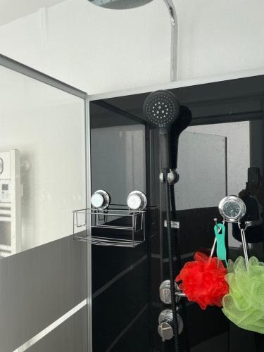 een douche in de badkamer met een spiegel bij Appartement 70m2 dans maison avec jardin in Bischheim