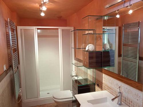 ein Badezimmer mit einem WC, einem Waschbecken und einem Spiegel in der Unterkunft Apartamentos Candanchu 3000 in Candanchú